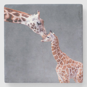 Getty Afbeeldingen Moeder en Baby Giraffe Stenen Onderzetter