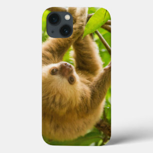 Getty Afbeeldingen Opwaartse sleuf iPhone 13 Hoesje