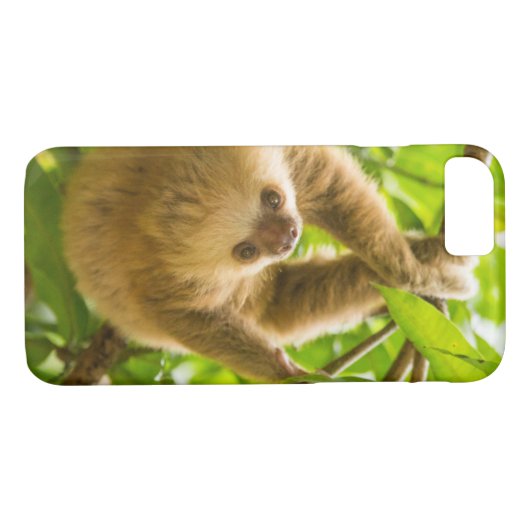 Getty Afbeeldingen | Opwaartse sleuf Case-Mate iPhone Case (Achterkant (Horizontaal))