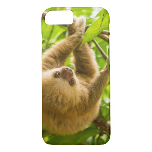 Getty Afbeeldingen | Opwaartse sleuf Case-Mate iPhone Case (Achterkant)