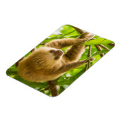 Getty Afbeeldingen | Opwaartse sleuf Magneet (Linkerzijde)