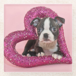 Getty Afbeeldingen Puppy Love Glazen Onderzetter