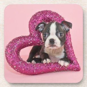 Getty Afbeeldingen Puppy Love Onderzetter