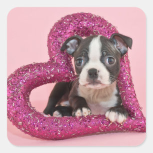 Getty Afbeeldingen Puppy Love Vierkante Sticker