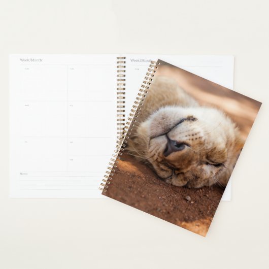 Getty Afbeeldingen | Slaapsnede Planner (Display)