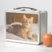 Getty Afbeeldingen | Slaperige kat (In situ)