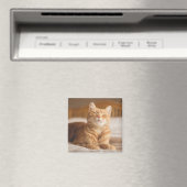 Getty Afbeeldingen | Slaperige kat Magneet (Insitu (Vaatwasser))