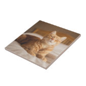 Getty Afbeeldingen | Slaperige kat Tegeltje (Zijkant)