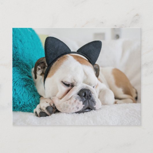 Getty Afbeeldingen | Sleepy Dog met Cat Headband Briefkaart (Voorkant)
