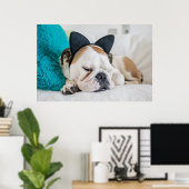 Getty Afbeeldingen | Sleepy Dog met Cat Headband Poster (Thuiskantoor)