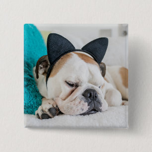Getty Afbeeldingen   Sleepy Dog met Cat Headband Vierkante Button 5,1 Cm