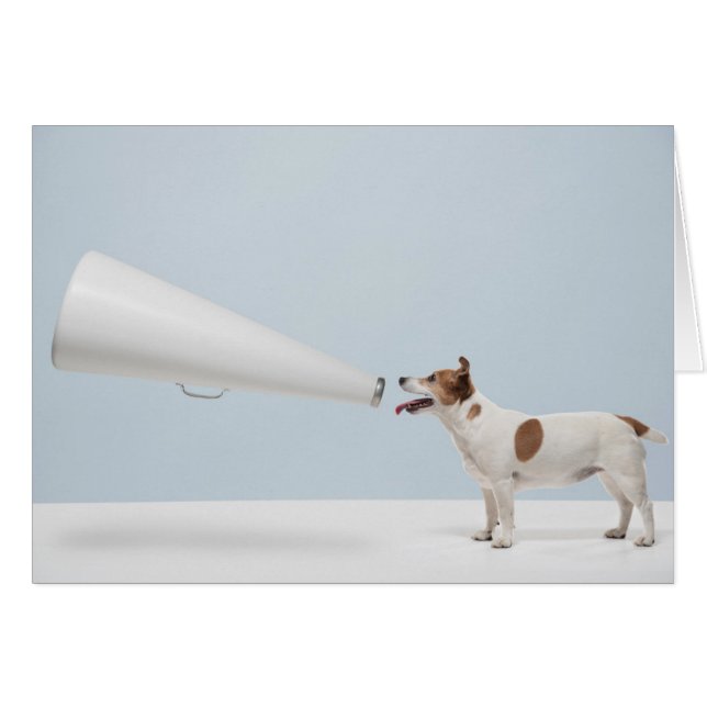 Getty Afbeeldingen | Spreekhond (Voorkant Horizontaal)
