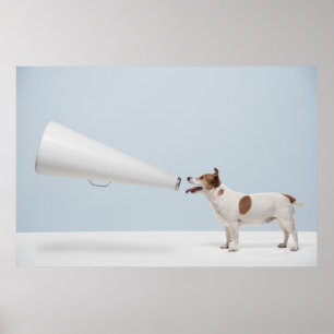 Getty Afbeeldingen   Spreekhond Poster
