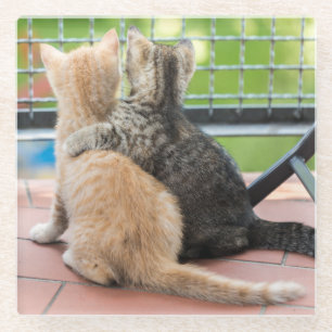 Getty Afbeeldingen Twee Kittens op een balkon Glazen Onderzetter