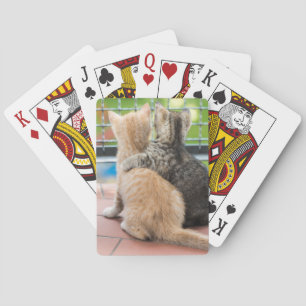 Getty Afbeeldingen   Twee Kittens op een balkon Pokerkaarten