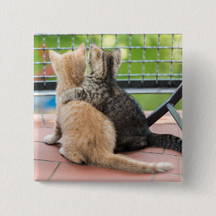 Getty Afbeeldingen Twee Kittens op een balkon Vierkante Button 5,1 Cm