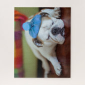 Getty Afbeeldingen | Zick Young Puppy Legpuzzel (Verticaal)