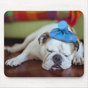 Getty Afbeeldingen Zick Young Puppy Muismat