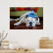 Getty Afbeeldingen | Zick Young Puppy Poster (Keuken)