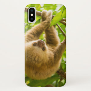 Getty Images Luiaard Ondersteboven iPhone X Hoesje