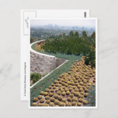 getty museum cacti briefkaart (Voorkant / Achterkant)