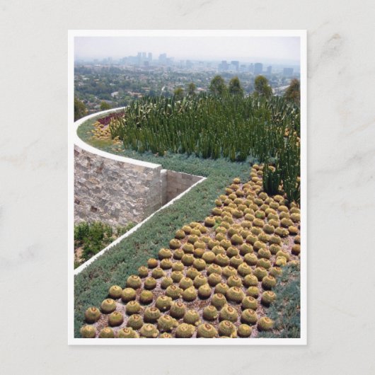 getty museum cacti briefkaart (Voorkant)