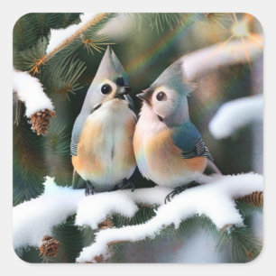 Getuft Titmouse Paar Vierkante Sticker