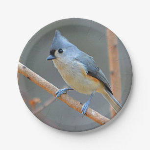Getuft Titmouse Paper Bord
