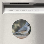 Getufte titmouse fotomagneet magneet (Insitu (Vaatwasser))