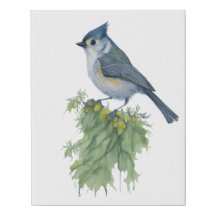 Getufte Titmouse in Waterverf