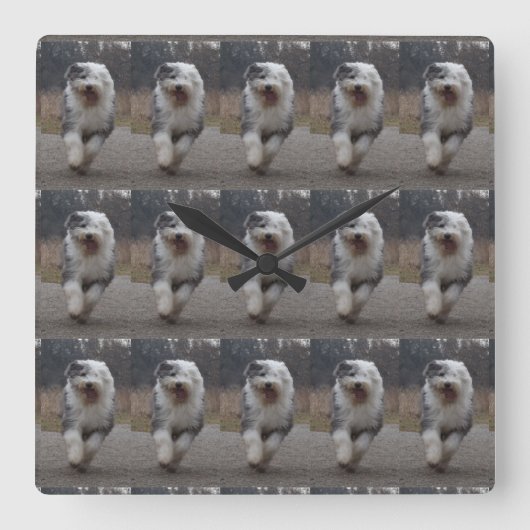 Getuige oude Engelse Sheepdog Clock - run Dog! Vierkante Klok (Voorkant)