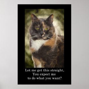 Geur Kat - Doe wat je wilt? Poster