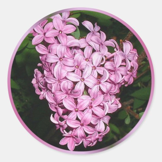 Geur van Lilacs Ronde Sticker (Voorkant)