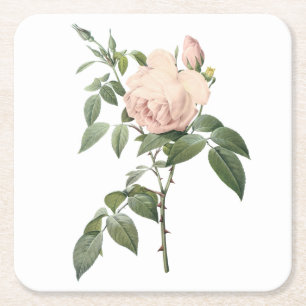 geurthee-roos van Redouté Vierkante Kartonnen Onderzetter