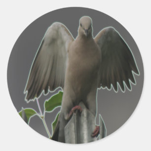 Gevallen Angel Dove Sticker