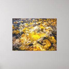 Gevallen bladeren in het water canvas afdruk