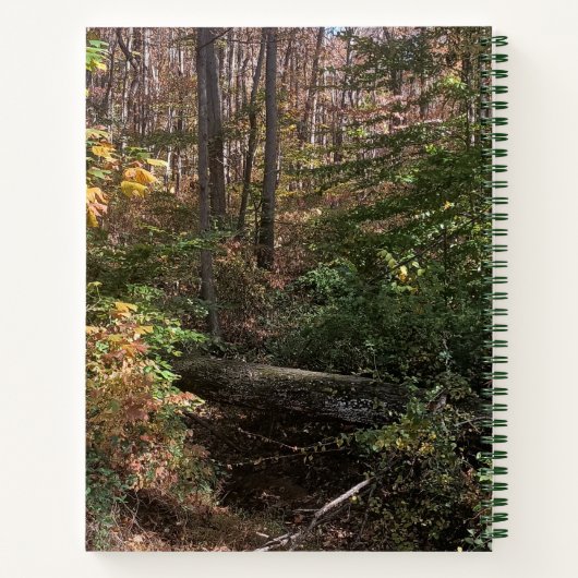 Gevallen boom in Bossen Spiral Journal Notitieboek (Achterkant)