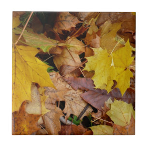 Gevallen esdoornbladeren geel herfst natuur tegeltje