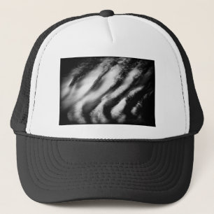 gevallen gieren trucker pet