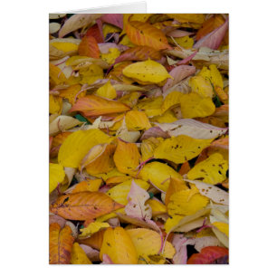 Gevallen herfstbladeren