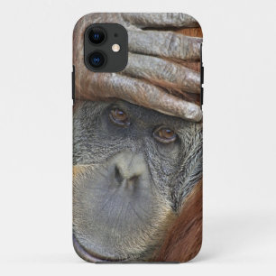 Gevangen vrouwelijke Sumatraanse orang-oetan iPhone 11 Hoesje