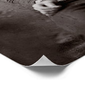 Gevangene Portrait, 1865.  foto Poster (Hoek)