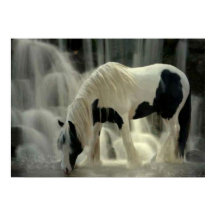 Gevangenis, Papier poster (mat)