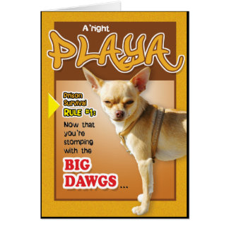 Gevangeniskaarten - Top Dawg