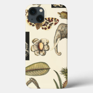 Gevarieerde dieren geschilderd op crèmekleurige ac iPhone 13 hoesje