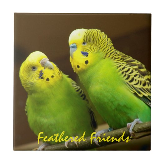 Gevederde Vrienden Groene en Gele Parkieten Tegeltje (Voorkant)