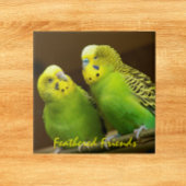Gevederde Vrienden Groene en Gele Parkieten Tegeltje