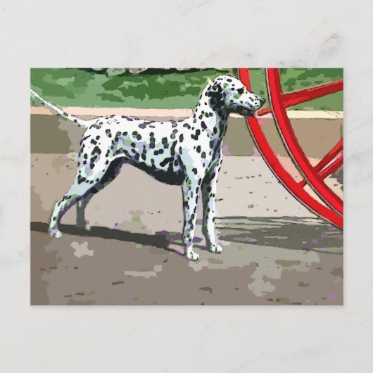  geverfd dalmatiaans briefkaart (Voorkant)