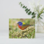 geverfde bundeling briefkaart (Staand voorkant)