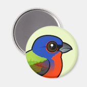 geverfde bundeling magneet (Voorkant / Achterkant)